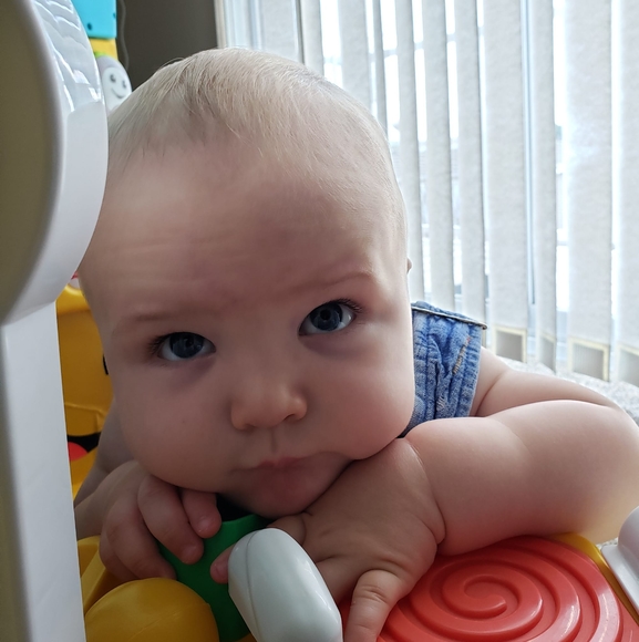 Meet your Posher, Amber - Picture 1 of 1